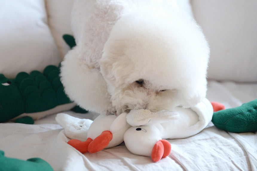 Flying Duck Nosework Toy