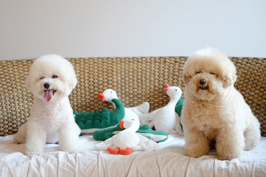 Flying Duck Nosework Toy