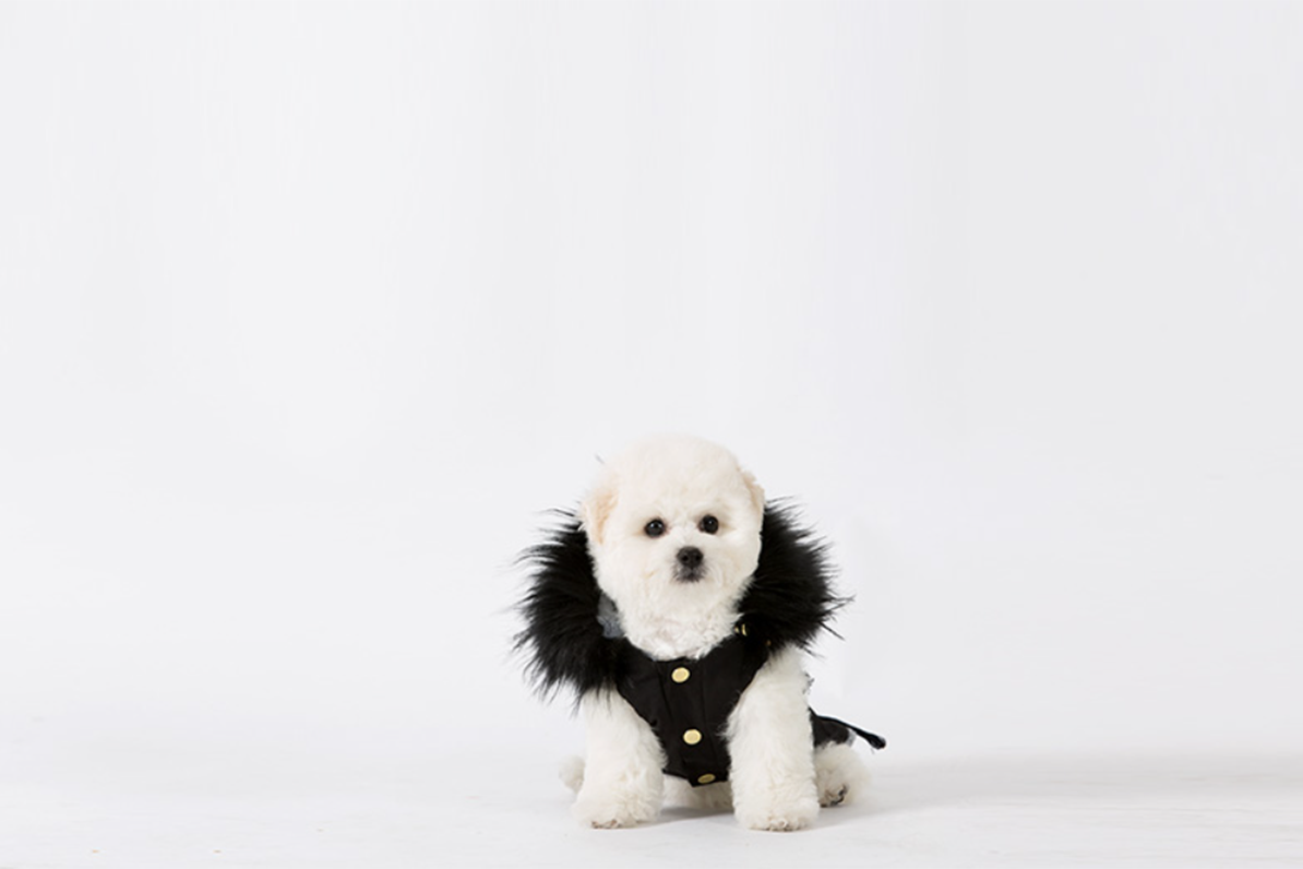 Black Winter Parka
