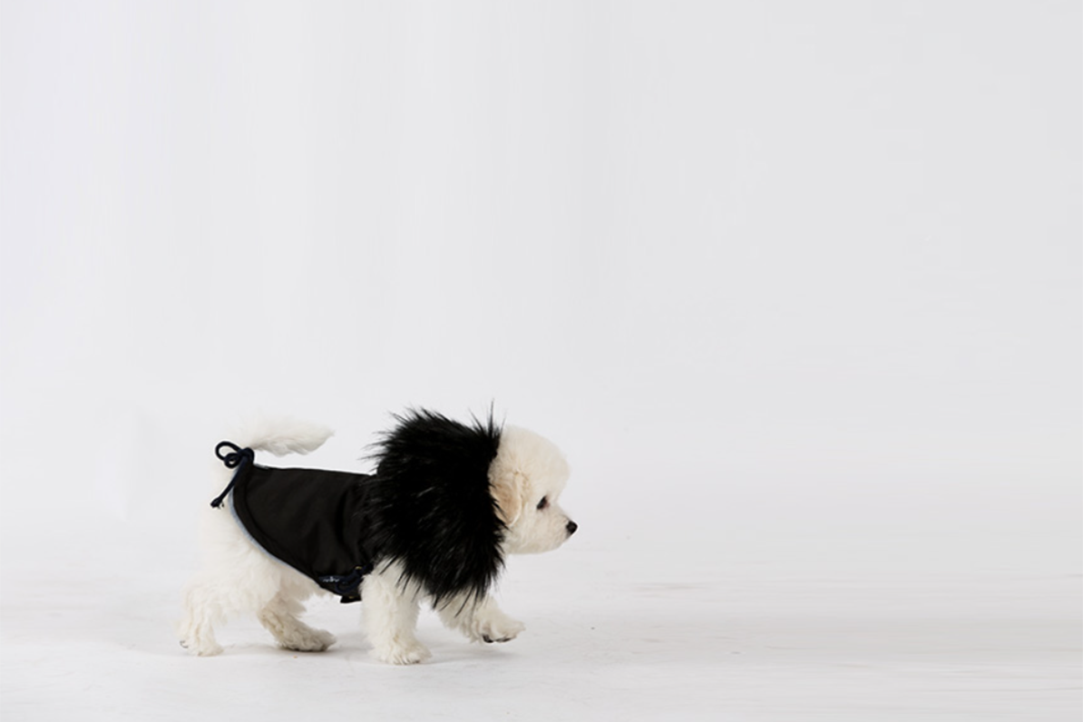 Black Winter Parka