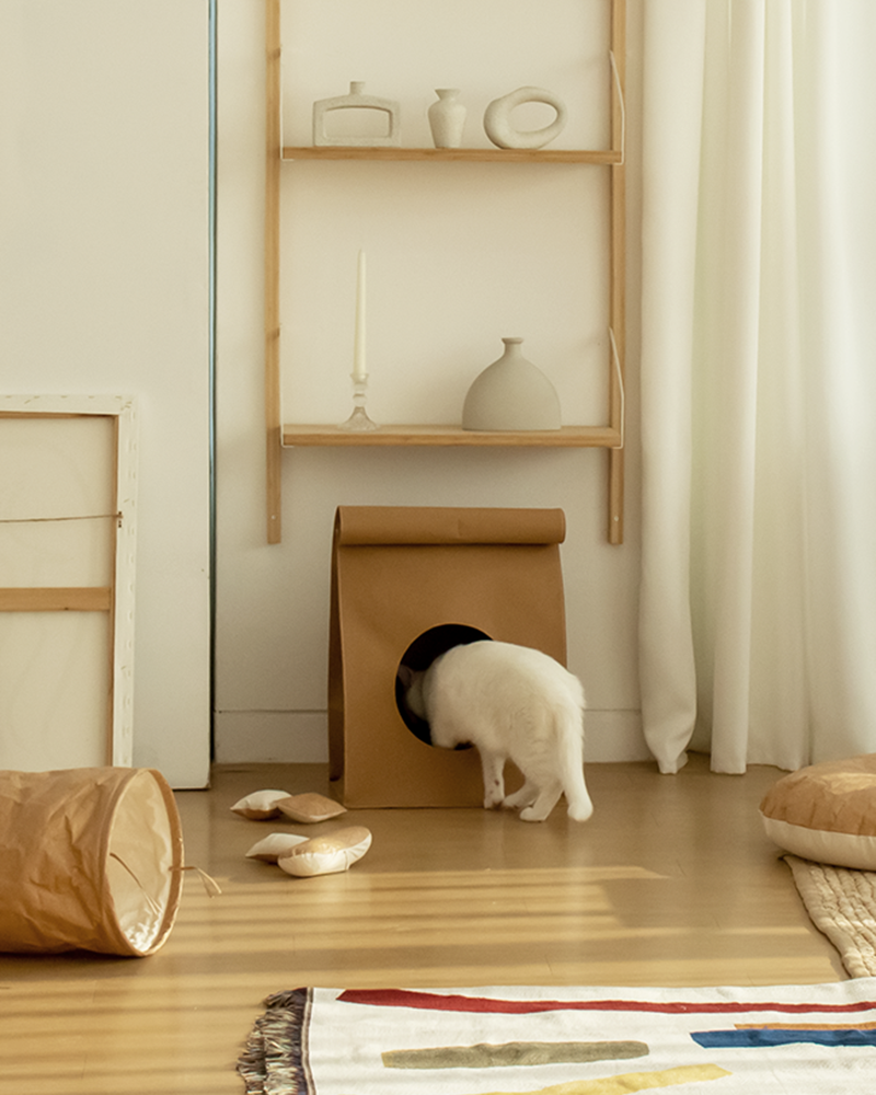 Hide & Seek cat bag made from 100% natural pulp with built-in scratcher and organic catnip – Petssogood