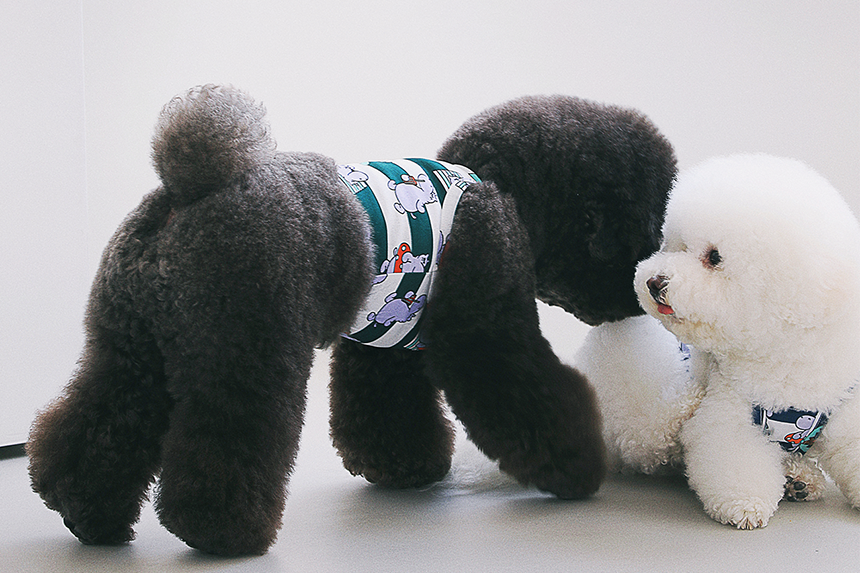 Aloha Hippo Crop Tee . Emerald Green