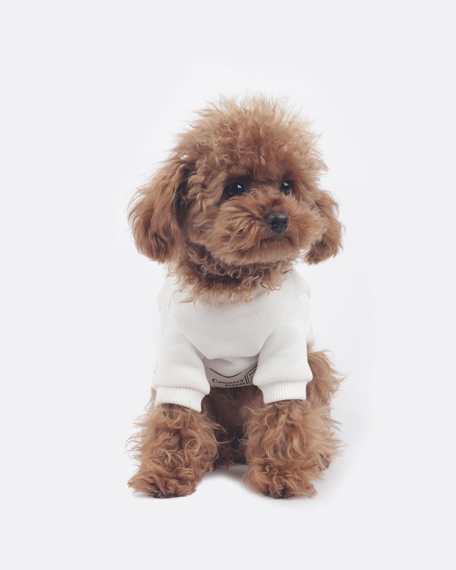 With dog Sweatshirts . For Dogs . White