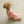 Macaron Harness . Pink