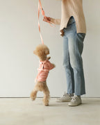 Macaron Leash . Pink