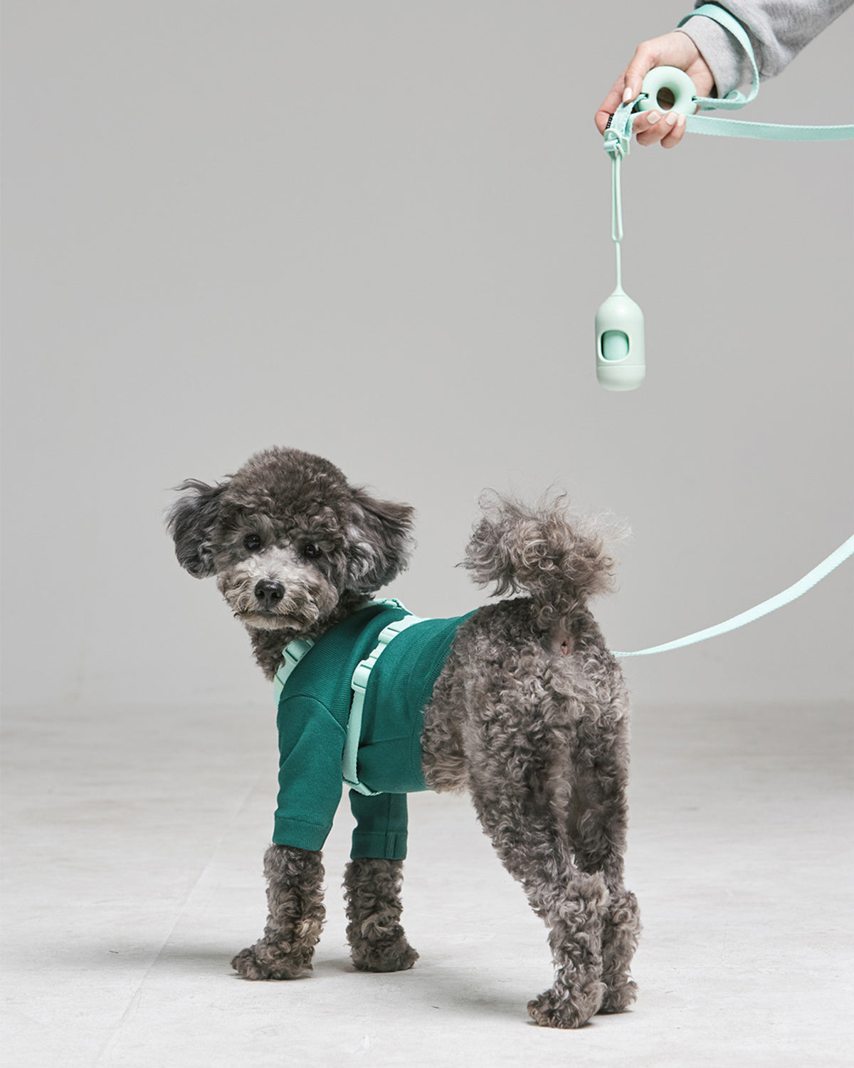 Macaron Poop Bag Case . Aqua