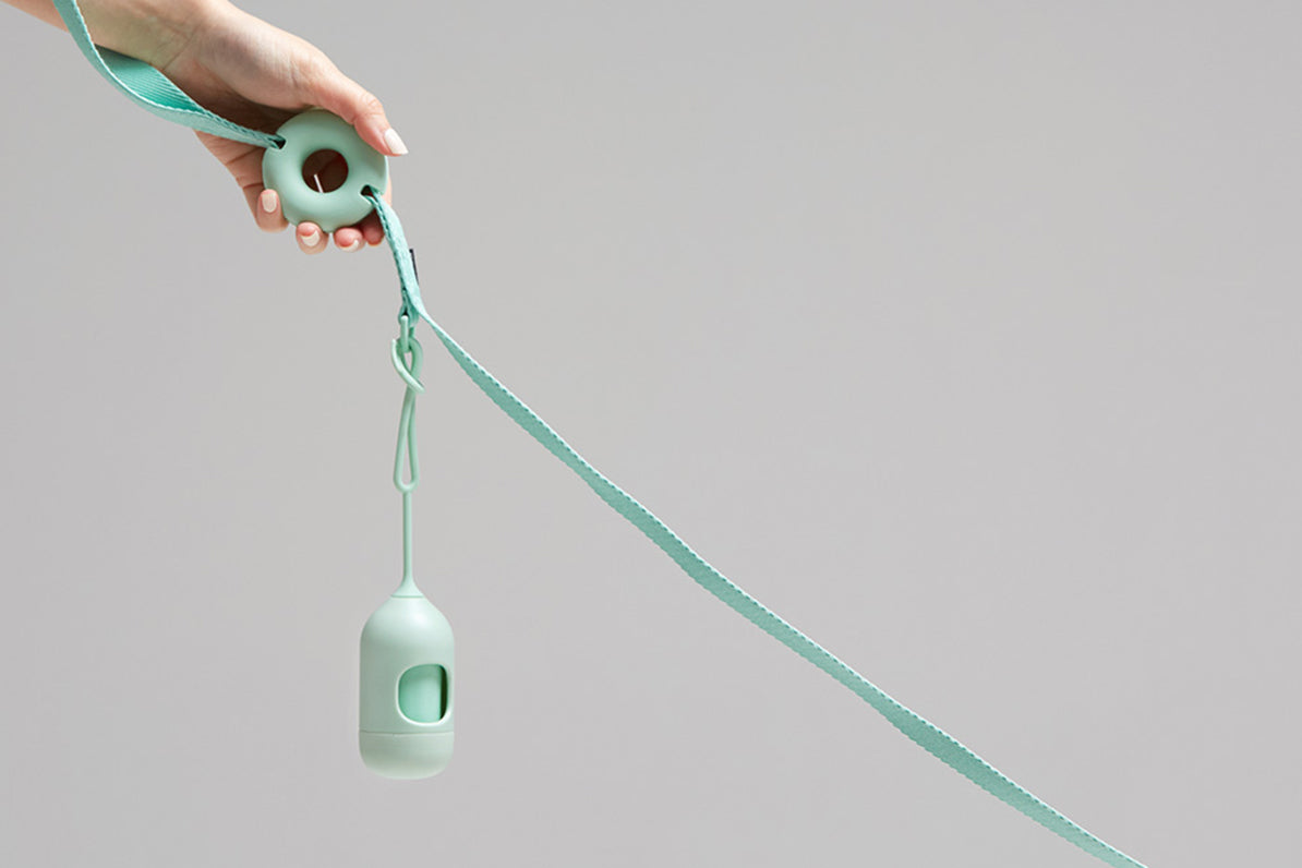 Macaron Leash . Aqua