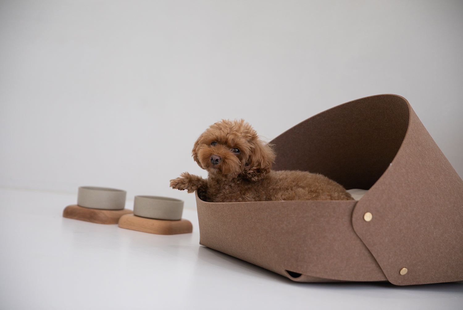 Marron felt pet bed with microfiber cotton cushion and sculptural modern-classic design – Petssogood