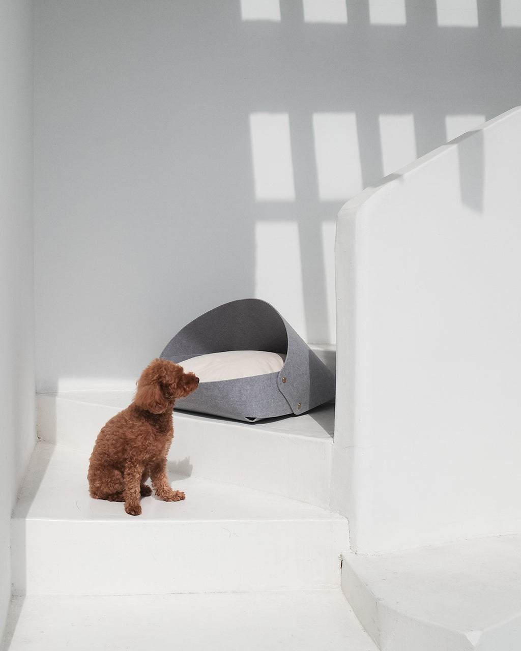 Marron felt pet bed with microfiber cotton cushion and sculptural modern-classic design – Petssogood