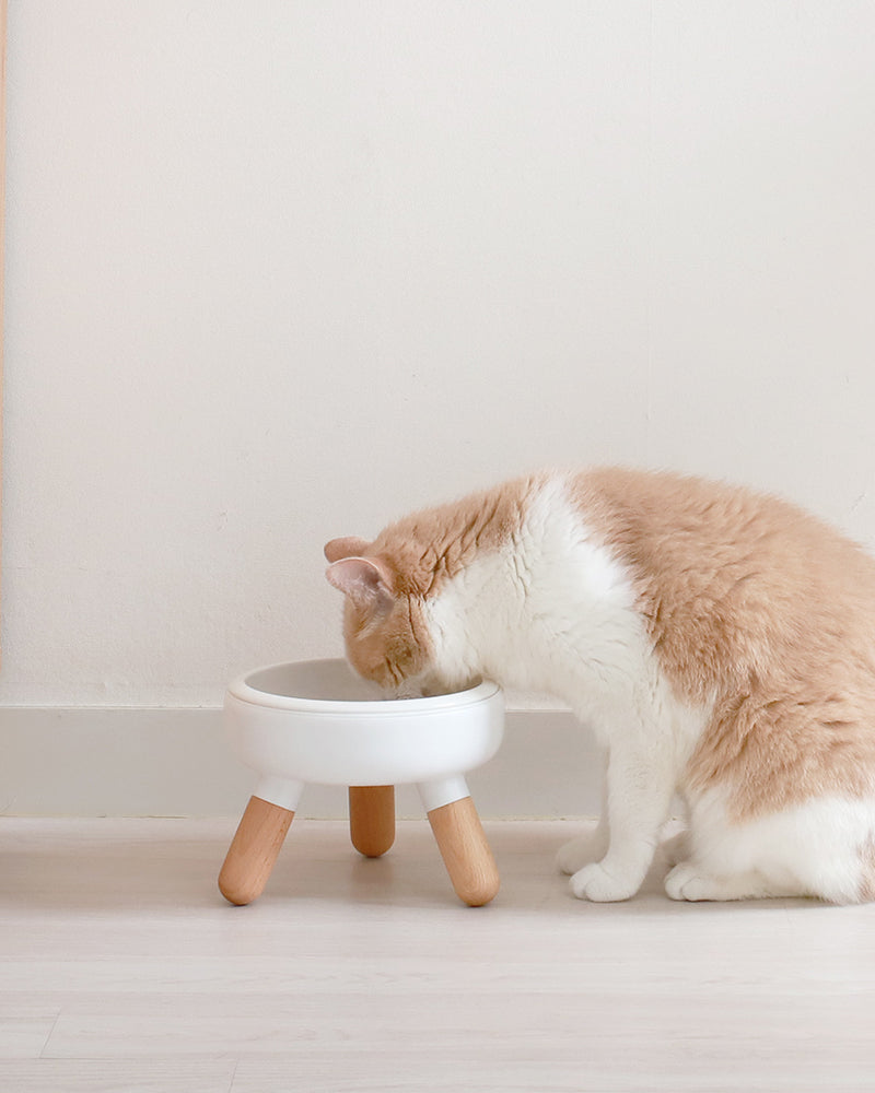 Elevated modern design feeding table for dogs and cats_pets so good