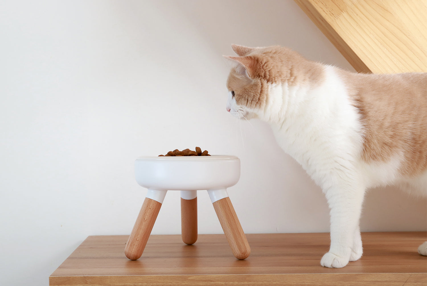 Oreo Elevated Pet Table Wood - Beech | Pets So Good