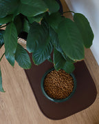 Silicon mat for pet protect the floor _ Pets So Good