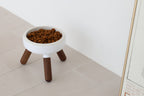 Elevated modern design feeding table for dogs and cats_pets so good