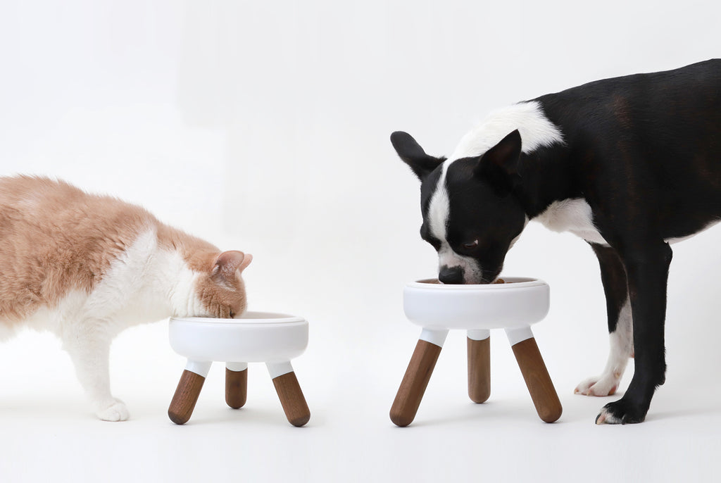 Elevated modern design feeding table for dogs and cats_pets so good