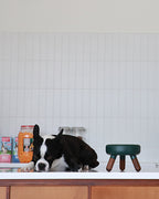 Premium modern elevated pet table for small dogs and cats_Pets So Good