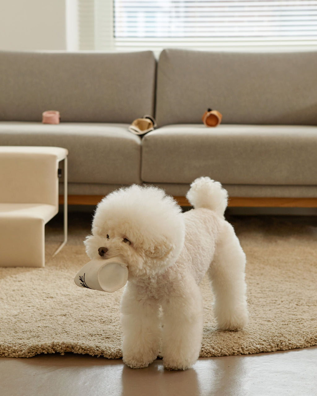 Paper Cup Nosework Toy