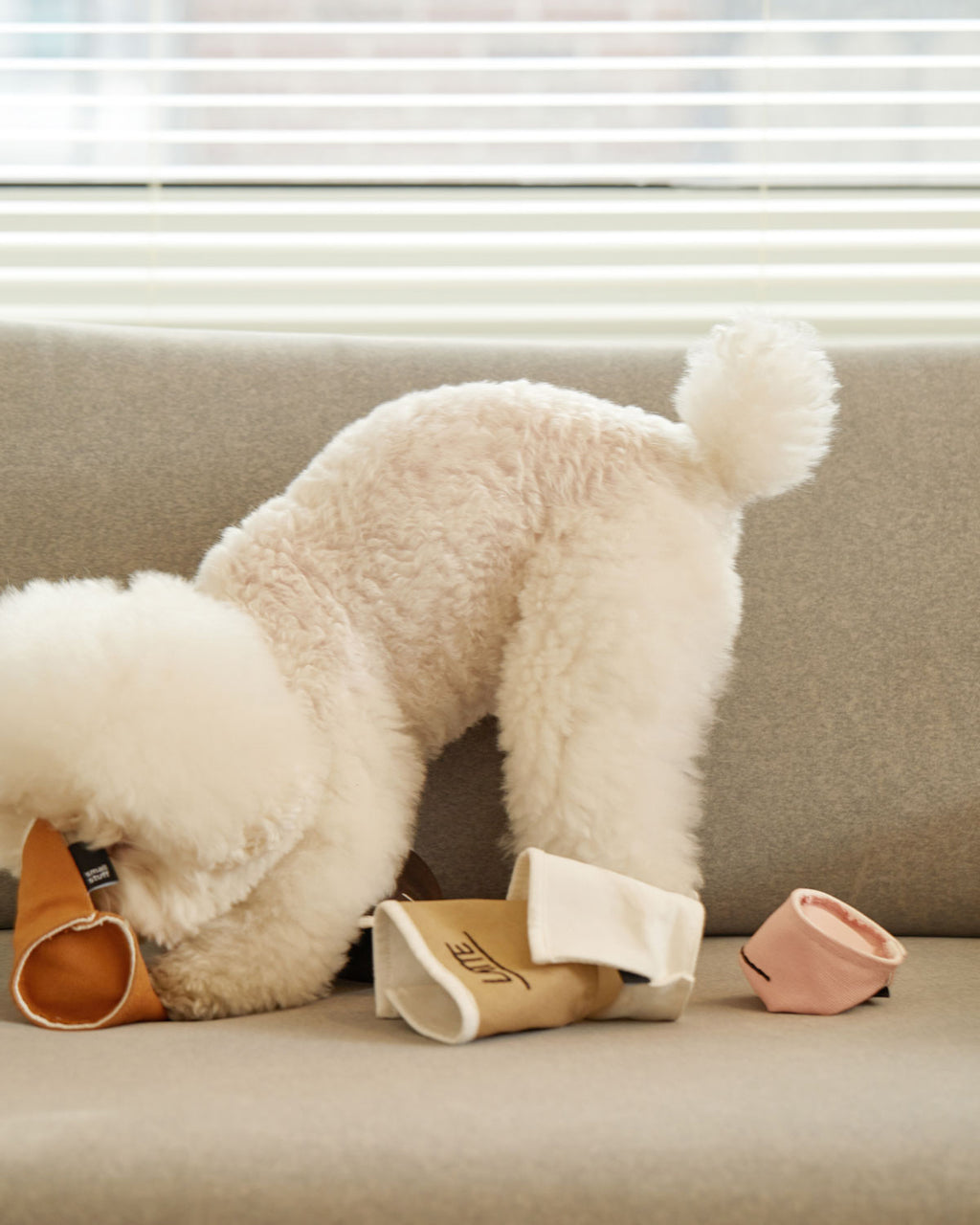 Paper Cup Nosework Toy