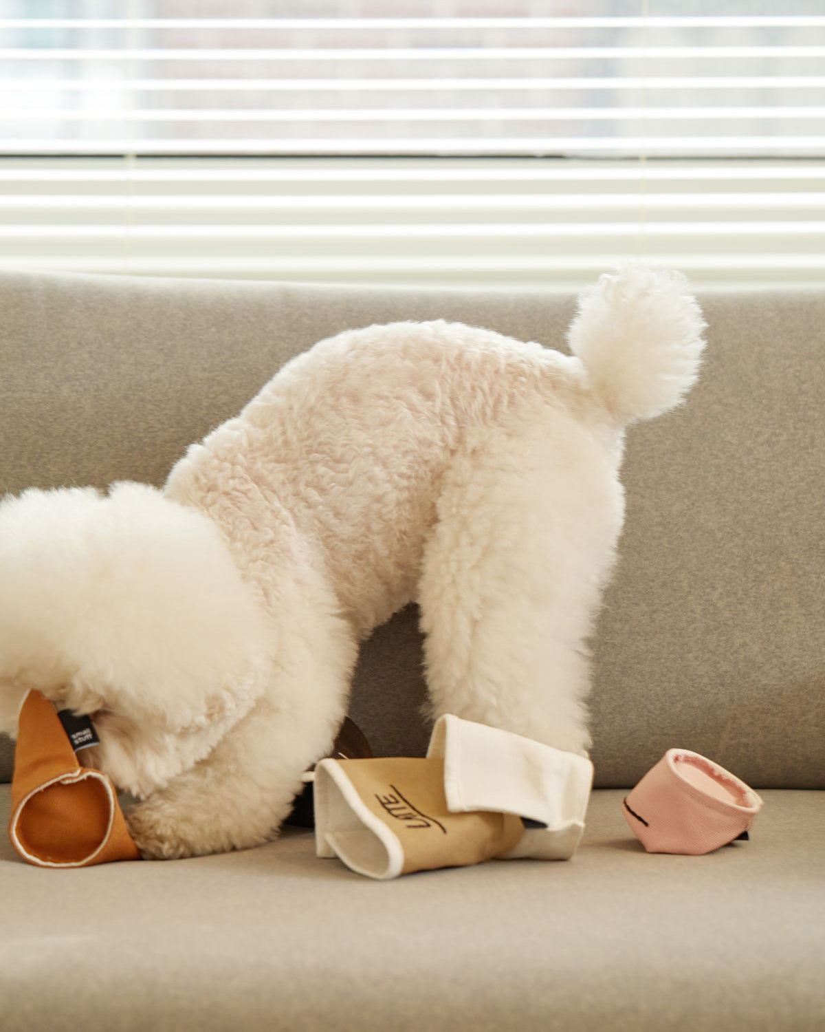 Paper Cup Nosework Toy