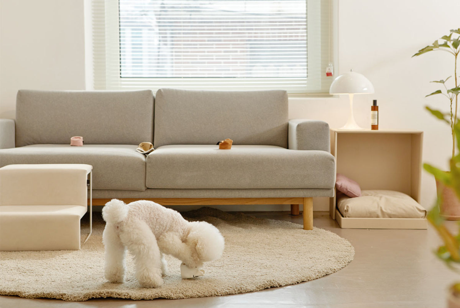 Paper Cup Nosework Toy