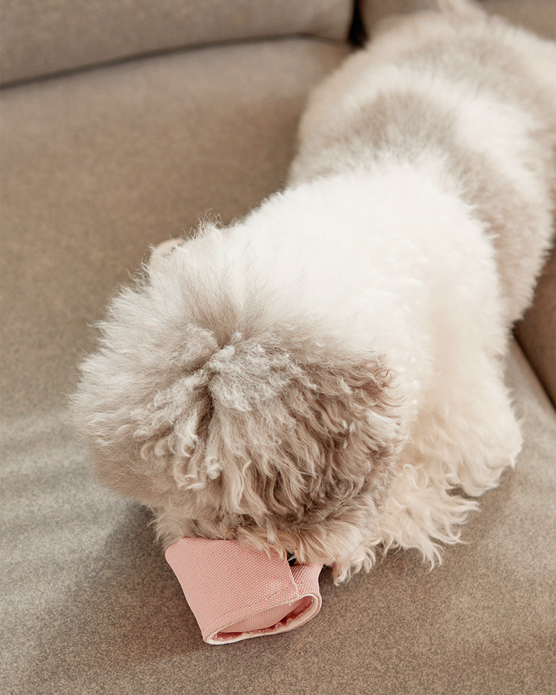 Paper Cup Nosework Toy