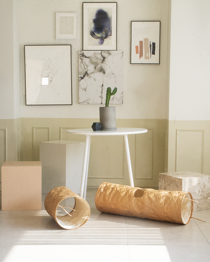 cat tunnel tyvek _ petssogood