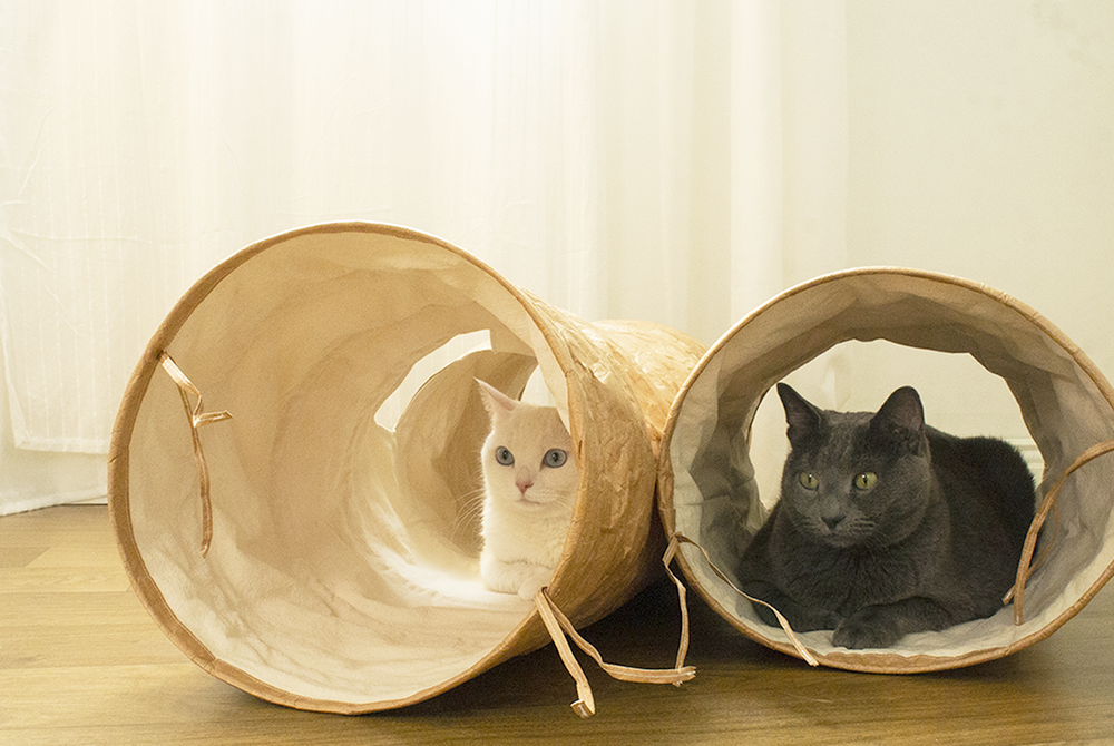 tyvek cat tunnel_petssogood