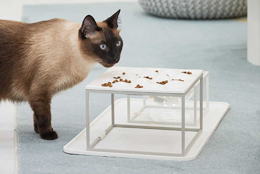 slow feeding table for cats and dogs helping digestion _ pets so good