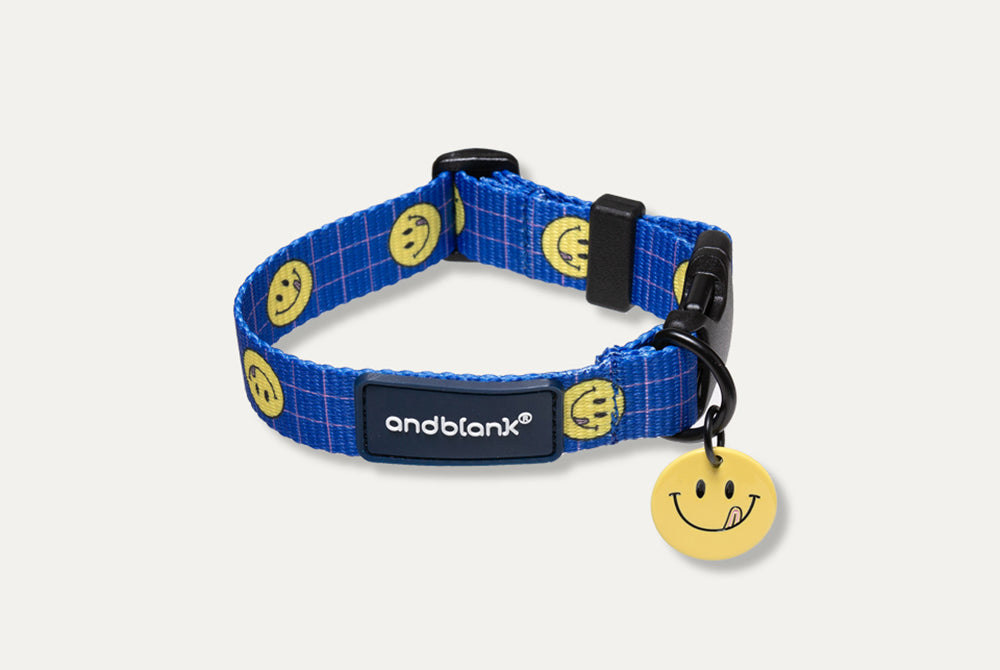 Smile Edition . Blue . Collar & Leash Set