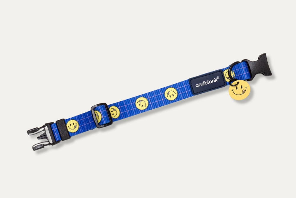 Smile Edition . Blue . Collar