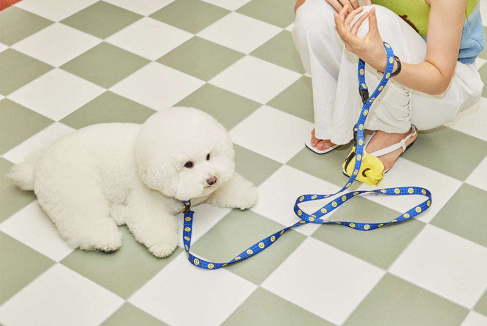 Smile Edition . Blue . Leash