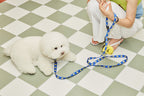 Smile Edition . Blue . Leash