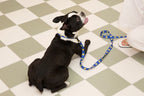 Smile Edition . Blue . Leash