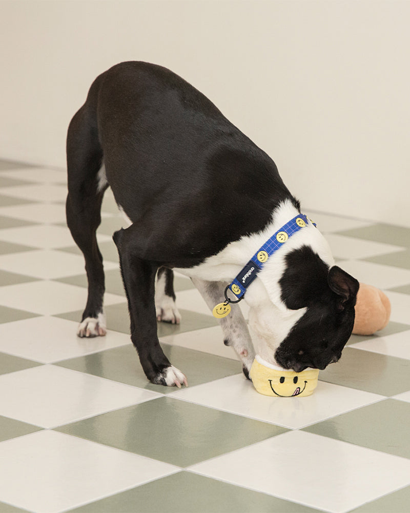 Smile Edition . Blue . Collar