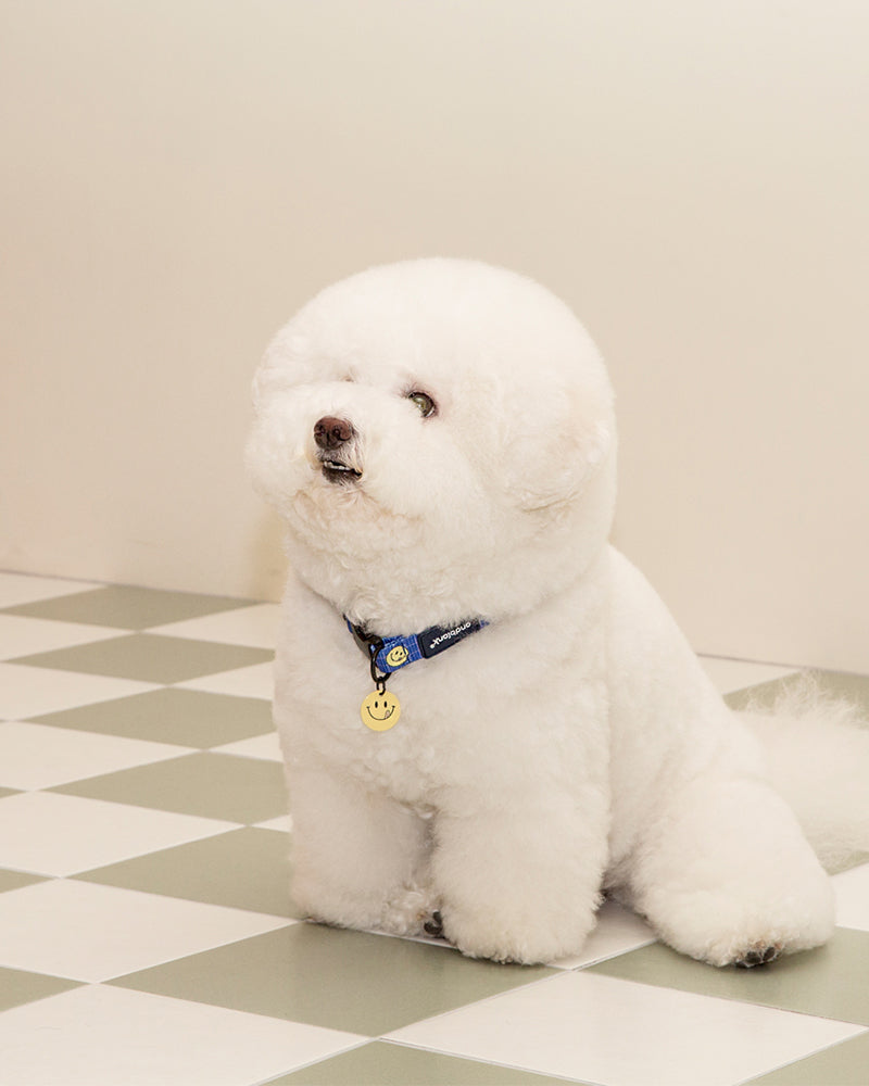 Smile Edition . Blue . Collar