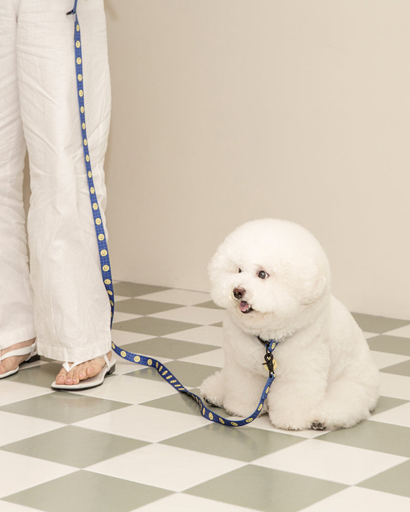 Smile Edition . Blue . Collar & Leash Set