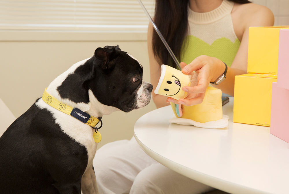 Smile Edition . Yellow . Collar
