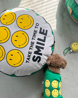 Smiley Dog Cushion . Green
