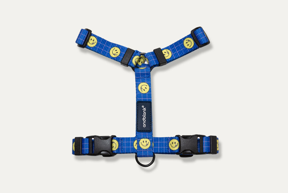 Smile Edition . Blue . Harness & Leash Set