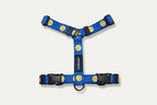 Smile Edition . Blue . Harness & Leash Set