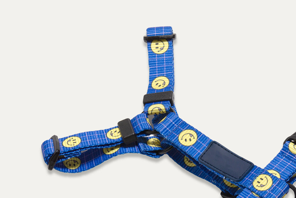 Smile Edition . Blue . Harness