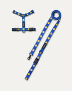 Smile Edition . Blue . Harness & Leash Set
