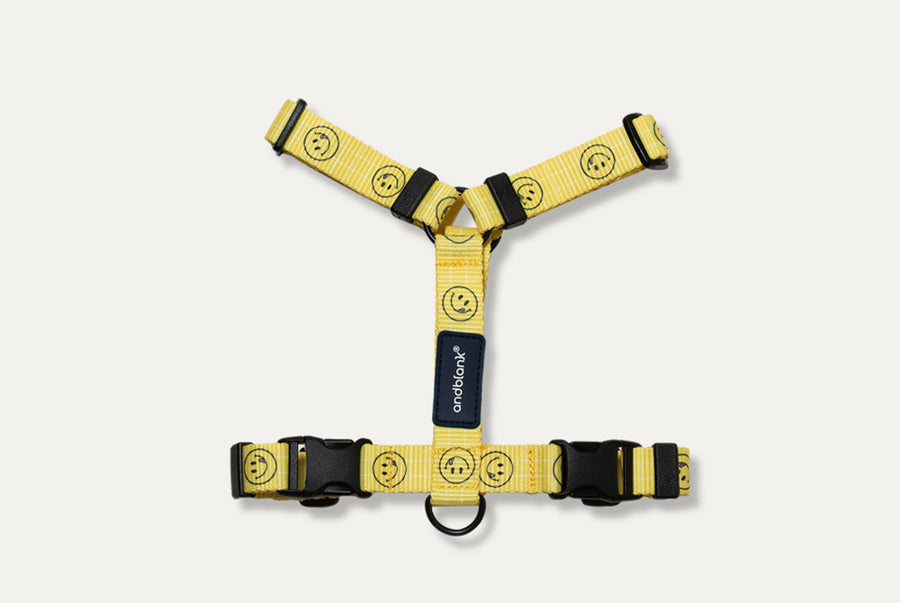 Smile Edition . Yellow . Harness & Leash Set