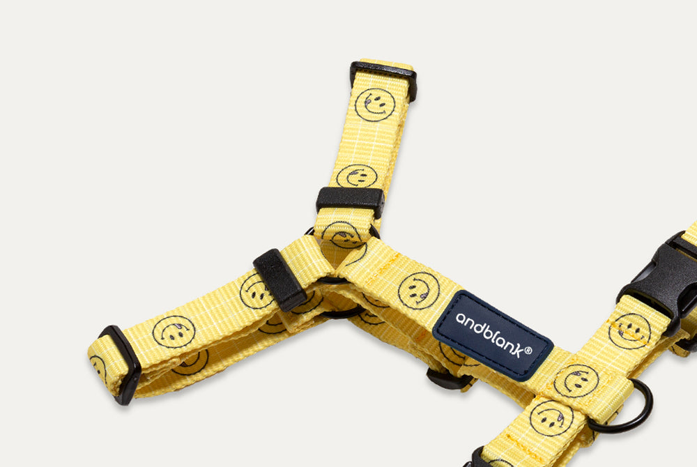 Smile Edition . Yellow . Harness & Leash Set