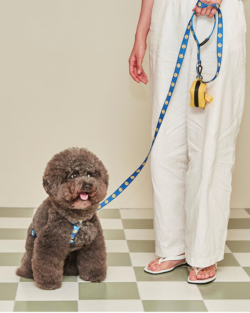 Smile Edition . Blue . Leash