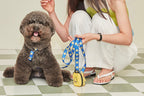 Smile Edition . Blue . Leash