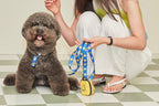 Smile Edition . Blue . Harness & Leash Set