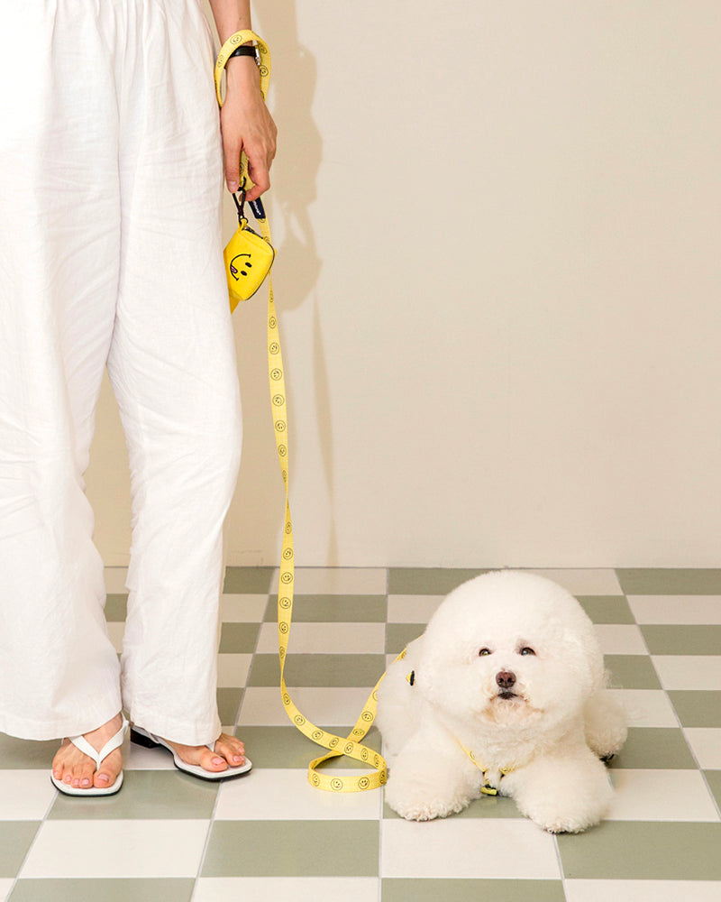 Smile Edition . Yellow . Leash
