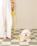 Smile Edition . Yellow . Leash
