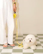 Smile Edition . Yellow . Leash