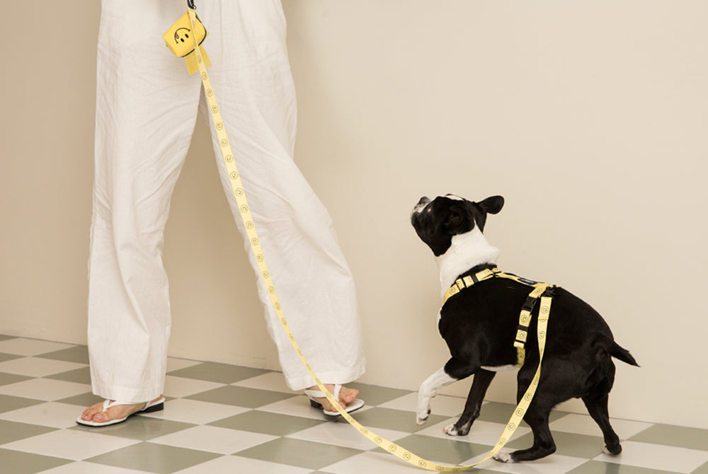 Smile Edition . Yellow . Leash